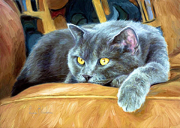 bluegray cat, blue, cats, gray, animals HD wallpaper
