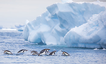 Antarctica, Dave Brosha, , Landscape HD wallpaper