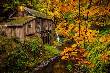 Old watermill, Forest, Trees, Light, Autumn, Mill, River HD wallpaper