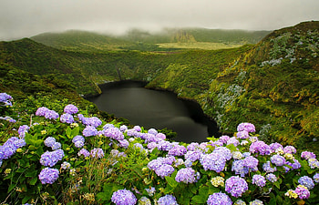 Calderia Comprida lake, hills, beautiful, lake, summer, mist, hydrangeas, pretty, greenery, view, flowers, lovely HD wallpaper