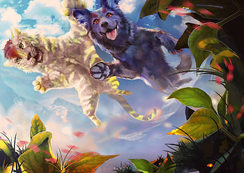 Icy and Skoll, dog, black, view from down, white, tiger, skoll, summer, fantasy, icy, tigru, luminos, water, vara, caine HD wallpaper