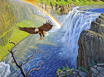 Nature and rainbow, outdoor, river, colorful, rainbow, eagle, beautiful, nature, peaceful HD wallpaper