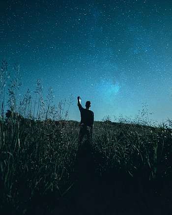Nature, Grass, Night, Silhouette, Starry Sky, Field HD phone wallpaper