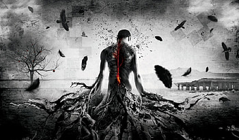 The last man, last, white, black, birds, abstract, fantasy, man HD wallpaper