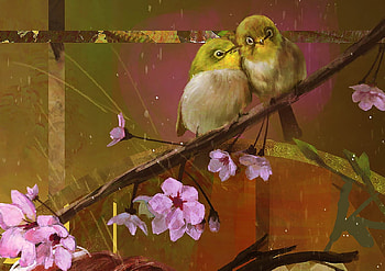 Spring birds, flower fairy, spring, brown, flower, couple, cherry blossom, stayap s, blossom, bird, art, pink, fantasy, yellow, detail, sakura, luminos, pasari HD wallpaper