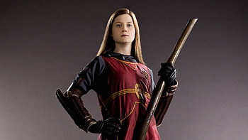 Weasley Family, Ginny Weasley, Wizarding world, Harry Potter series HD wallpaper