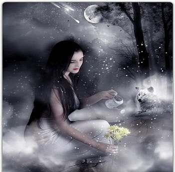 Plucking The Flower For Gisela, picking, wolf, woman, 3d, moon, fantasy, abstract, cg, flower, yellow, flowers, withw HD wallpaper