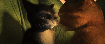 cat, movie, Puss in Boots HD wallpaper