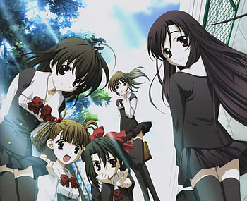 Anime Girls, anime, school days, cute, girls, black hair HD wallpaper