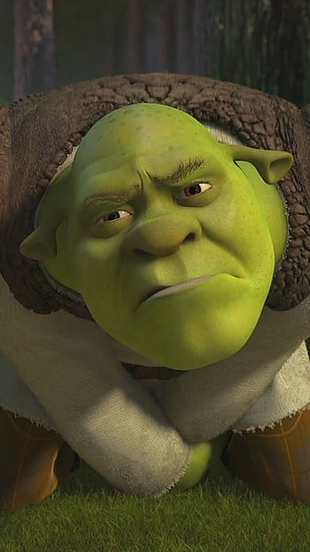 Shrek, Shrek Drake HD phone wallpaper