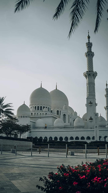 Grand Mosque AbuDhabi, building, dubai HD phone wallpaper