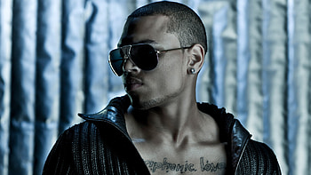 Chris Brown's charisma, Dynamic stage presence, Iconic music, Fan's devotion HD wallpaper