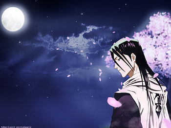 byakuya kuchiki, byakuya, bleach, anime, kuchiki HD wallpaper