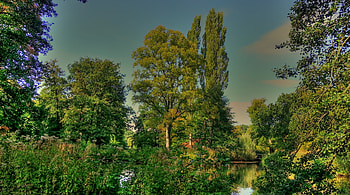 natural green, sky, lake, green, tree HD wallpaper