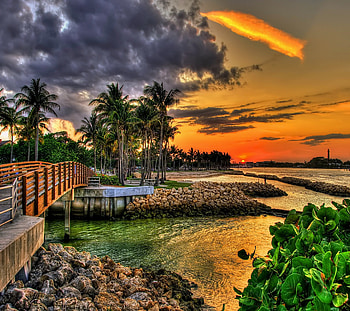 Tropical coast, Beach, Palms, Sunset, Sea HD wallpaper