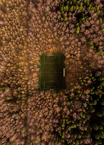 Nature, Trees, View From Above, Playground, Platform, Overview, Review, Football Field HD phone wallpaper