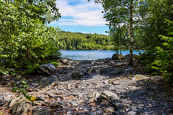 Nature, Rivers, Trees, Stones, Forest, Branches HD wallpaper