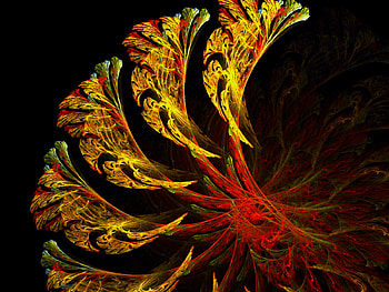 Digital Art, other, digital, 3d, art HD wallpaper