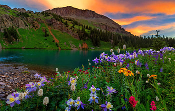 Mountain wildflowers at sunset, beautiful, serenity, mountain, lake, sunset, colorful, tranquility, wildflowers, emerald, green HD wallpaper