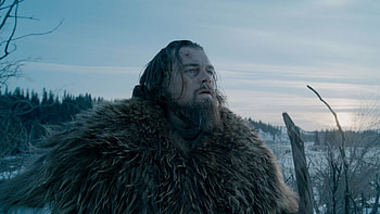The Revenant, Gripping drama, Harsh wilderness, Survival tale HD wallpaper