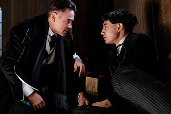 Credence Barebone HD wallpaper