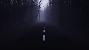 Trees, Dark, Road, Forest, Fog, Haze HD wallpaper