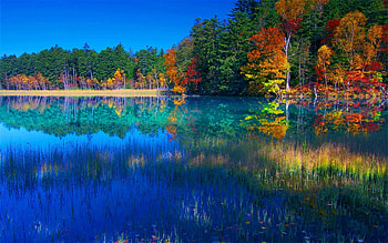 Colorful autumn lake, Scenery, Lake, Seasons, Leaves HD wallpaper