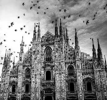 Black and white of Milan Cathedral with birds, showcasing Gothic architecture. HD wallpaper