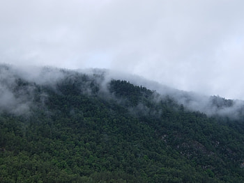 Nature, Trees, Mountains, Fog HD wallpaper
