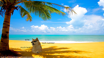 Summer Doge by NicDroidPH Summer Doge by NicDroidPH HD wallpaper