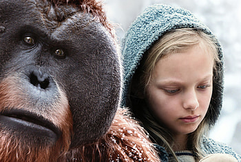 2017 War For The Planet Of The Apes Movie, war-for-the-planet-of-the-apes, 2017-movies, movies HD wallpaper