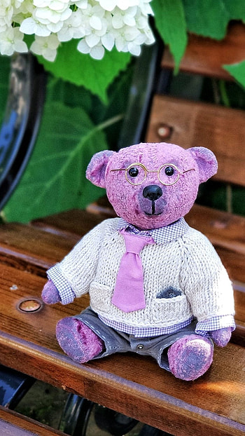 Teddy Bear Wale, Cute, Pink, Teddy Bear HD phone wallpaper