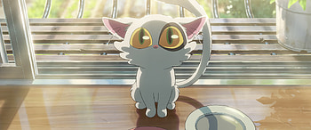 Suzume no Tojimari Anime Cat, Anime, Suzume no Tojimari, anime cat HD wallpaper