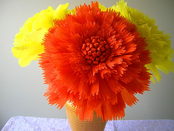 Brighten up, color, yellow, bright, flowers, orange, trio HD wallpaper
