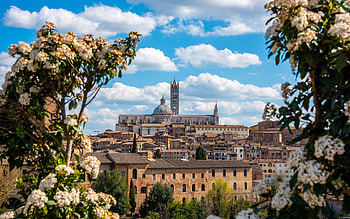 Siena landmarks, Beautiful summer vibes, Tuscany's gem, Italian cityscape HD wallpaper