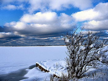 Winterland 03, winter, germany, snow, beach HD wallpaper