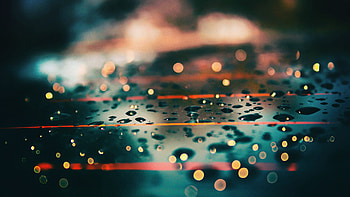 Drops, water drops, surface HD wallpaper