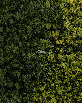 Grass, View From Above, Miscellanea, Miscellaneous, Field, Girl HD phone wallpaper