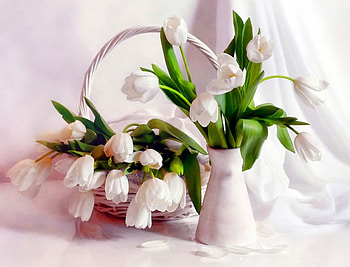 Plants, Flowers, Bouquets HD wallpaper