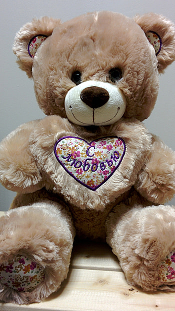 Beautiful Teddy Bear, Brown HD phone wallpaper