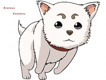 Gintama - Sadaharu , sadaharu, gintama HD wallpaper