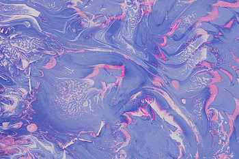 Abstract, Violet, Divorces, Paint, Liquid, Stains, Spots, Purple, Fluid Art HD wallpaper