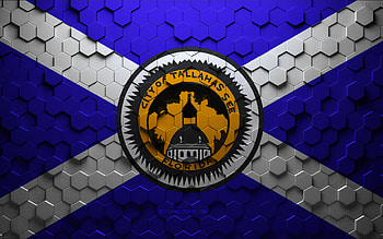 Flag of Tallahassee, Florida, honeycomb art, Tallahassee hexagons flag, Tallahassee, 3d hexagons art, Tallahassee flag HD wallpaper