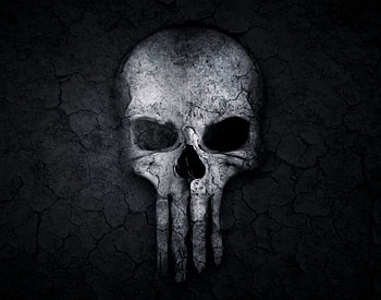 Skull, digital art HD wallpaper