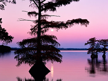 Landscape, Rivers, Trees HD wallpaper