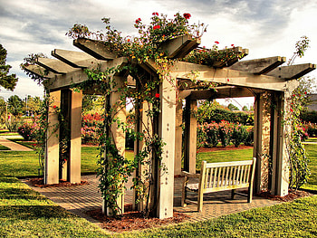 Rose Arbor Bench, bench, garden, arbor, roses HD wallpaper