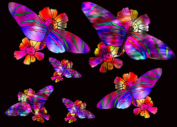 Flutterflies On Black, orange, red, yellow, flutterflies, black, green HD wallpaper