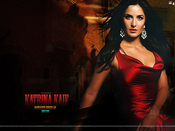 katz, sexy, hot, actress, kaif HD wallpaper
