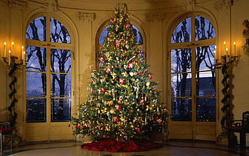 Oh Christmas Tree, winter, windows, christmas, candles, decorated, tree HD wallpaper