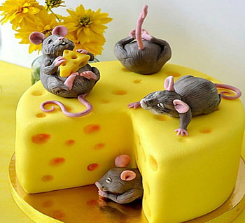 Cheese Cake, Cake, Yellow, Cheese, Mice HD wallpaper